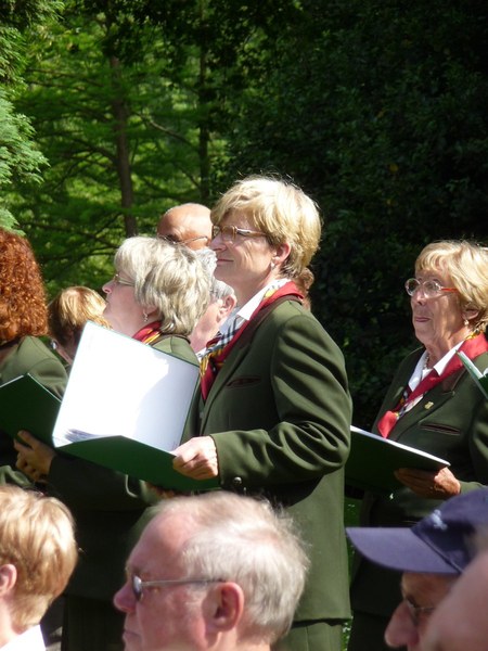 ../previews/052-SingendeGraft 22.JPG.medium.jpeg